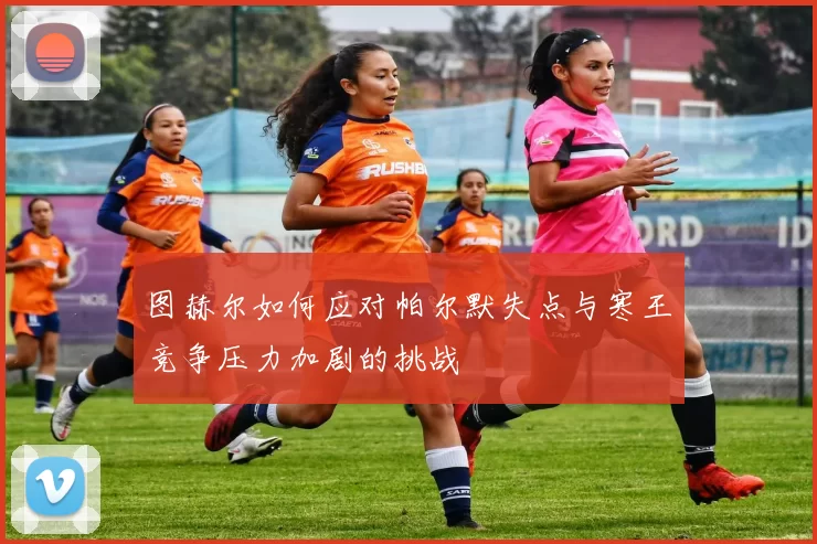 图赫尔如何应对帕尔默失点与寒王竞争压力加剧的挑战